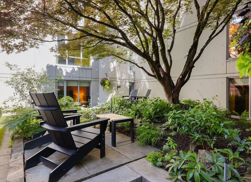 Patio Photo