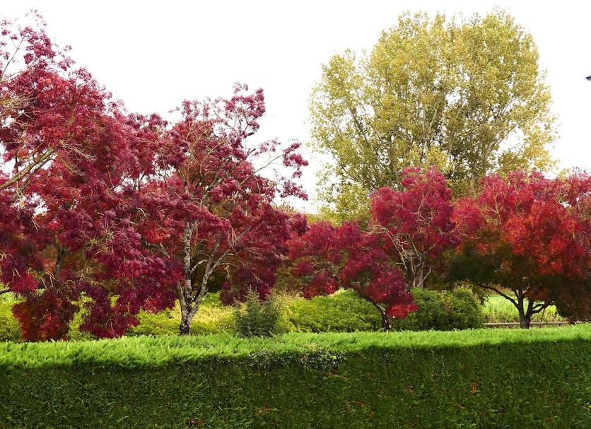 Outdoor view Photo