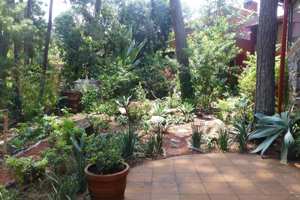 Outdoor view