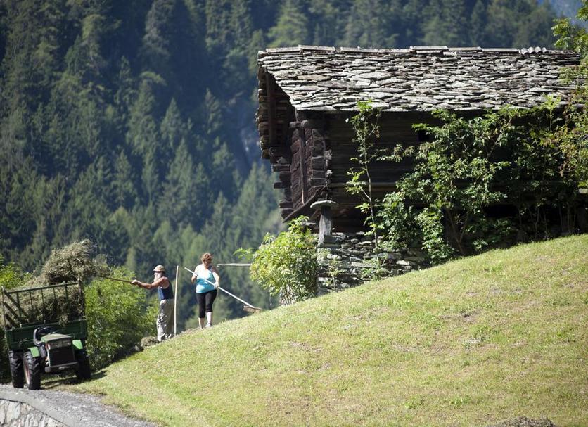 Other Photo