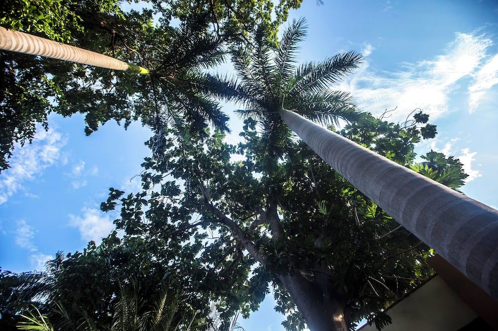 Outdoor view