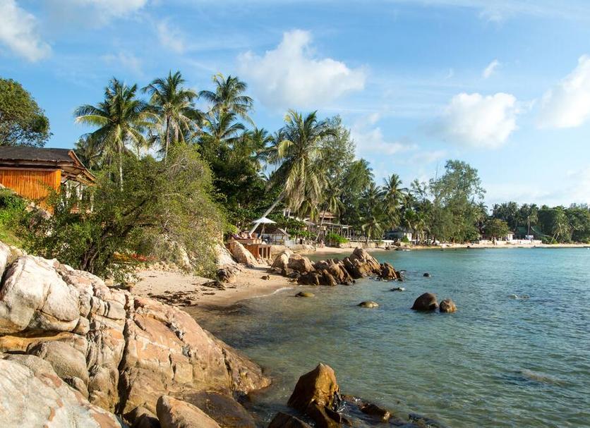 Other Photo