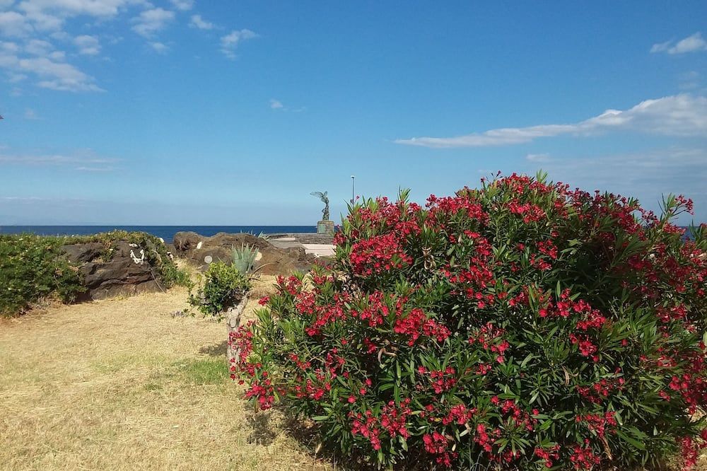 Outdoor view