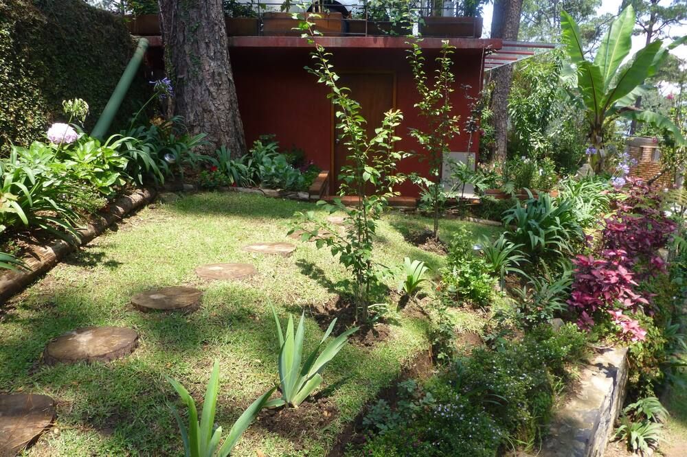 Outdoor view