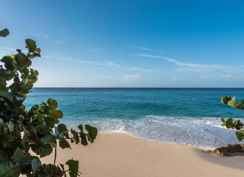 Beach Photo