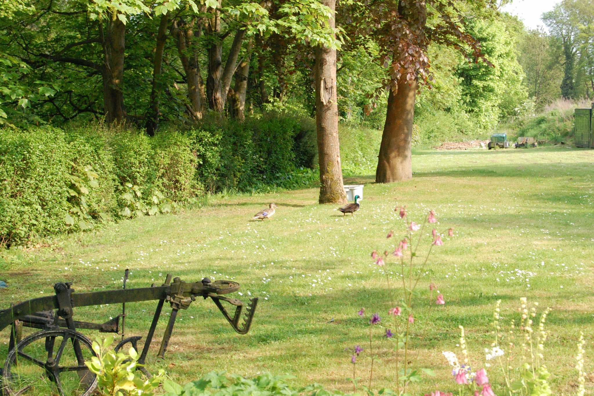 Outdoor view