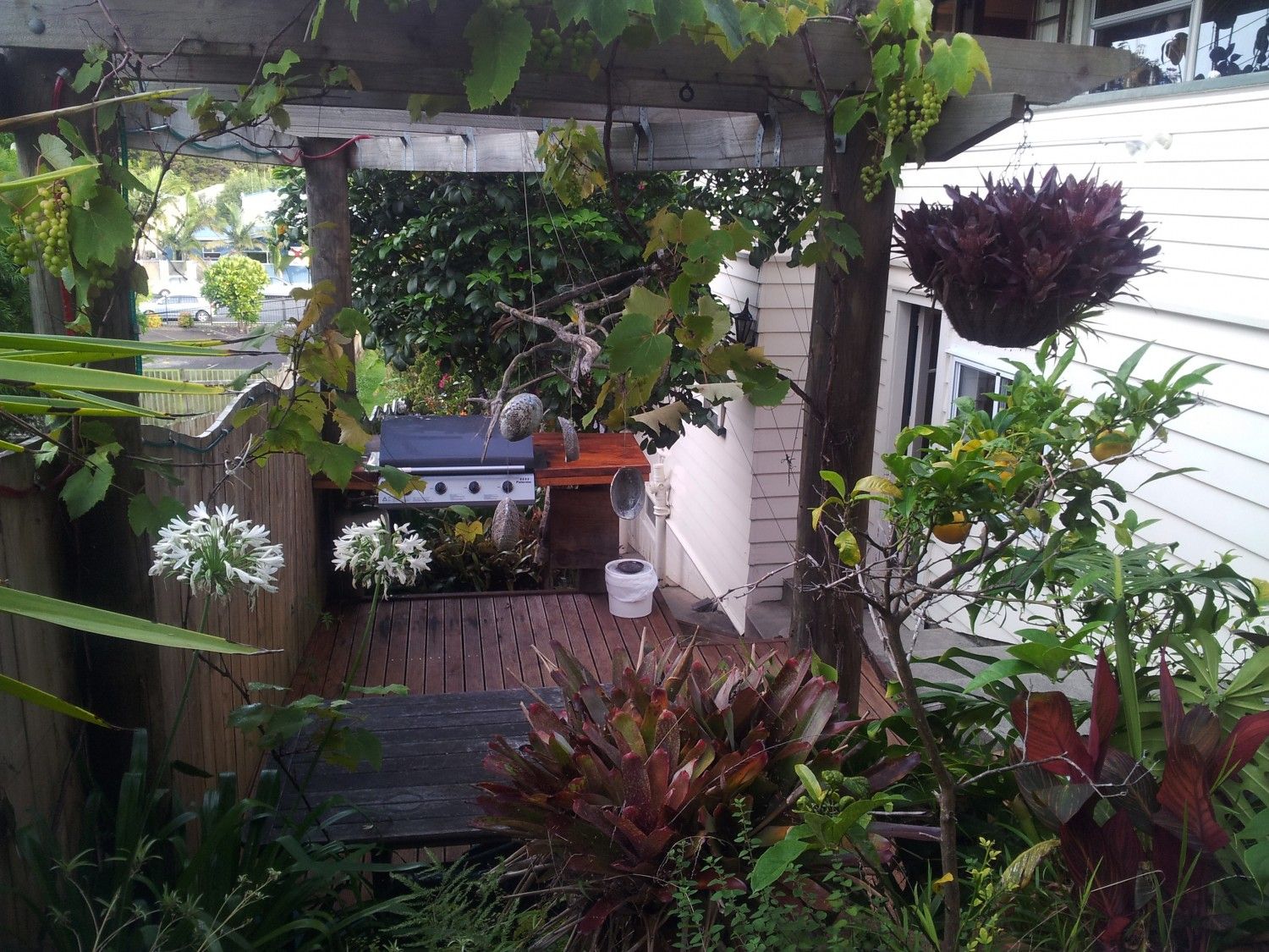Outdoor view