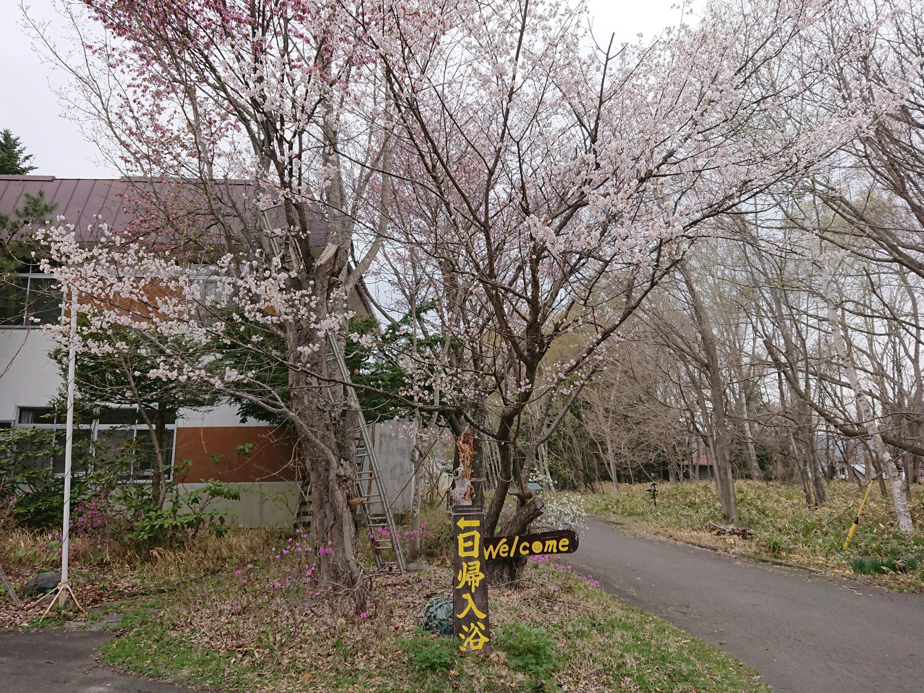 Outdoor view