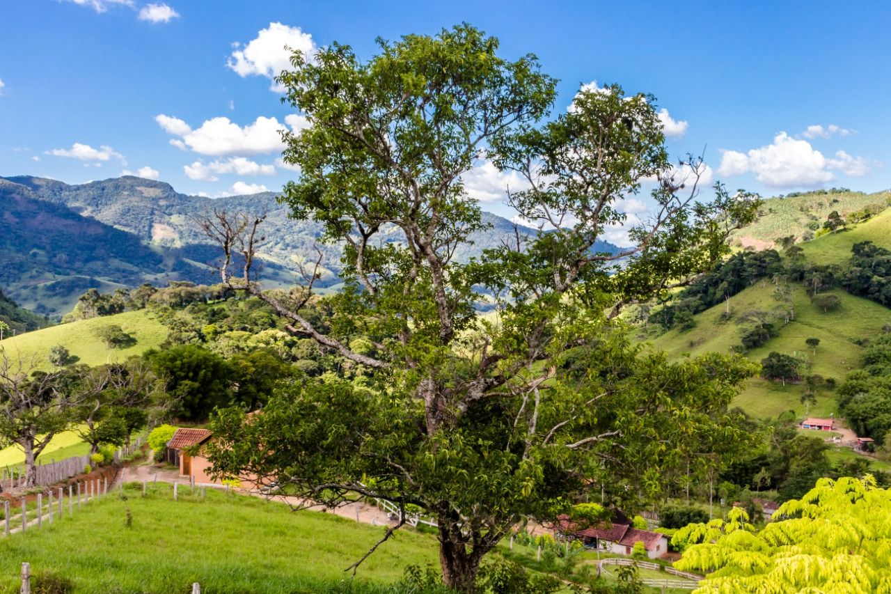 Outdoor view